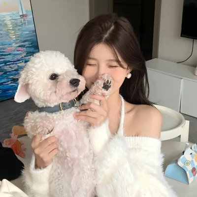 特洛伊艾迪 在线观看